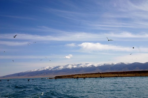 青海湖入围2010中国青年喜爱的旅游目的地