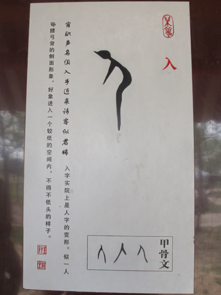有趣的甲骨文