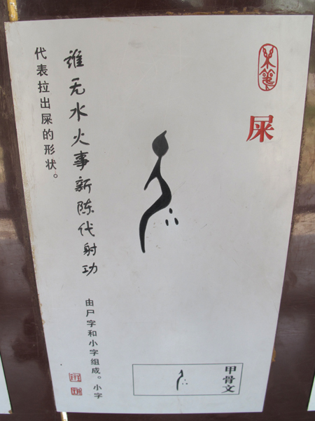 有趣的甲骨文