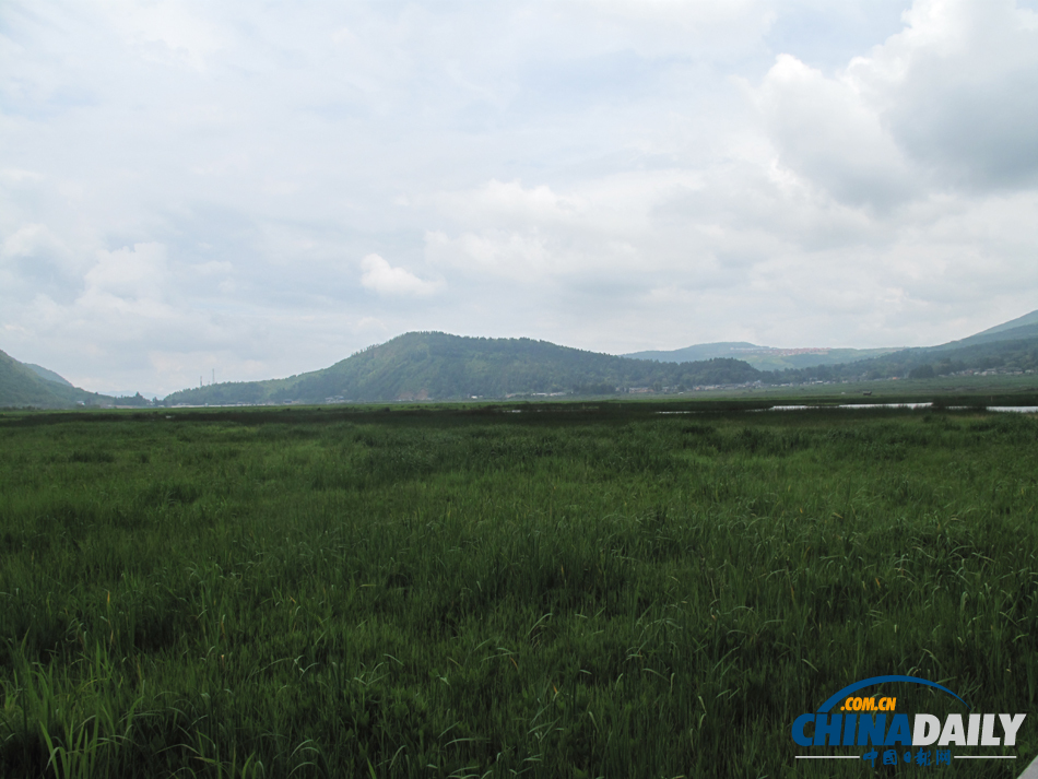 走进腾冲北海湿地 体验“人在画中游”的美景