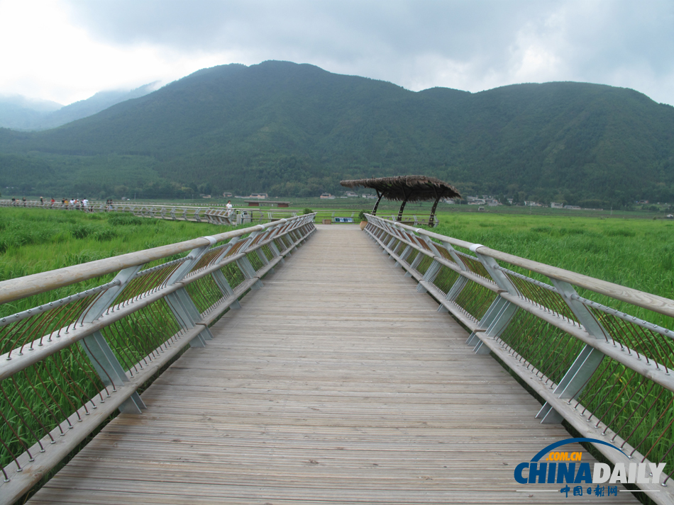 走进腾冲北海湿地 体验“人在画中游”的美景