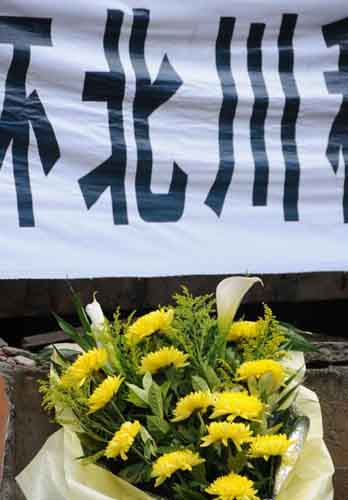 “5.12”两周年:我听见草叶温柔耳语