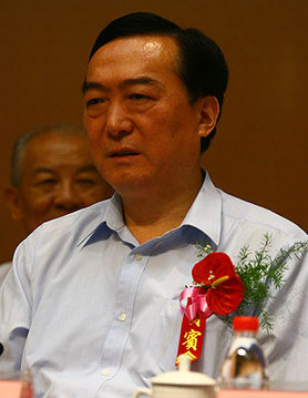 河北省人大决定陈全国任代省长