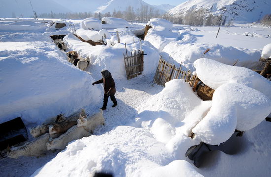 新疆阿勒泰大雪造成7人失踪14人被困(组图)