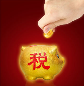 陈东琪:今年应尽快提高个人所得税起征点