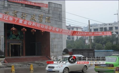 张家界街头现标语:重金收购嫌犯货到付款(图)