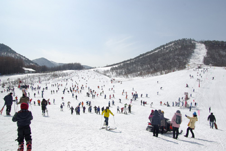 神农架滑雪旅游春节强势升温