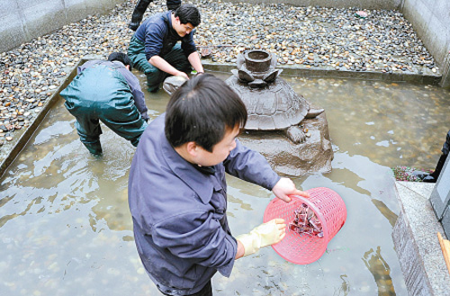 放生池变功德箱 西市工作人员捞出一桶零钱(图)