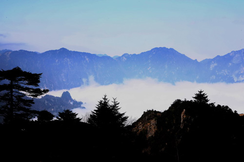 神农架出现雾凇和云海的景观（图）