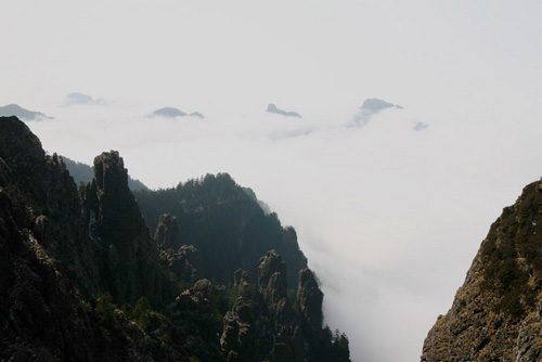神农架出现雾凇和云海的景观（图）