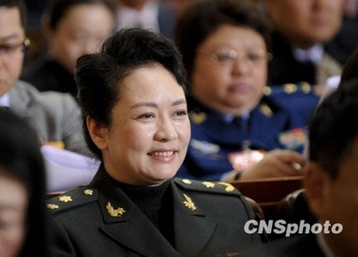 全国政协委员彭丽媛力推中华文化“走出去”