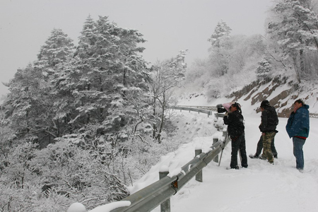 雪后初晴现神农架绝美景致(图)
