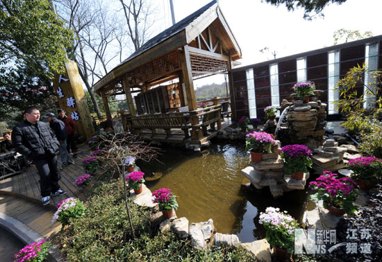 南京推出生态景观葬