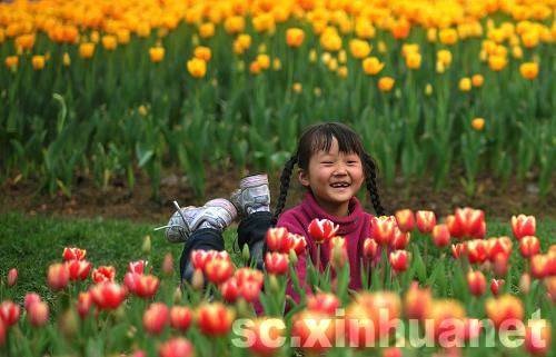 石象湖景区郁金香盛开