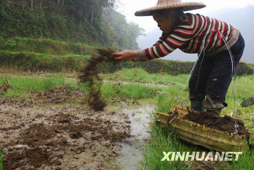广西部分旱区喜降春雨