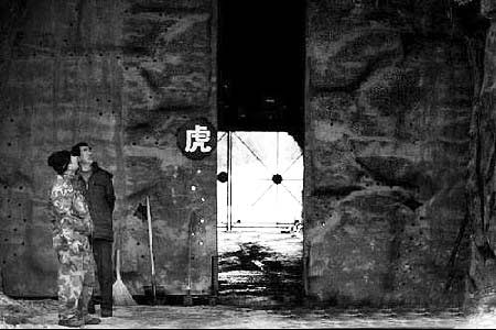 沈阳11只东北虎死亡续 老板为建园曾行贿慕绥新