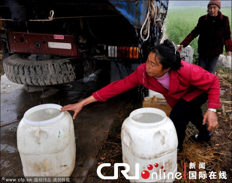 云南遭遇大旱 焦渴无奈地缝觅水(组图)