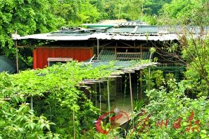 深圳房价逼近2万 低价集装箱房租赁红火(图)