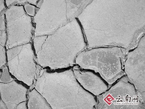 云南旱区裂缝能伸手掌 10小时拉趟水急哭村民