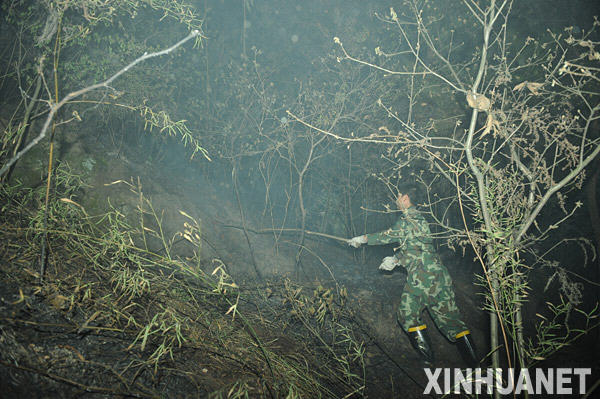 重庆大渡口区发生大面积山火