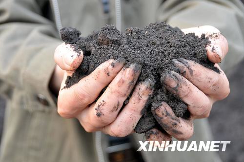 湖南郴州“血铅超标”事件的调查与反思