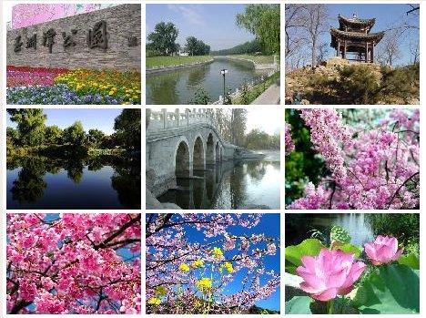北京十大最怡人踏青出游地推荐(图)