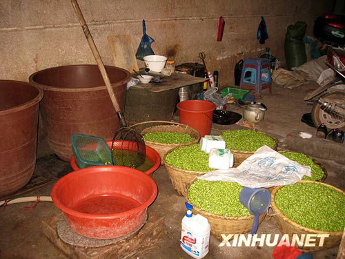 湖南衡阳发现并销毁“染色豆”