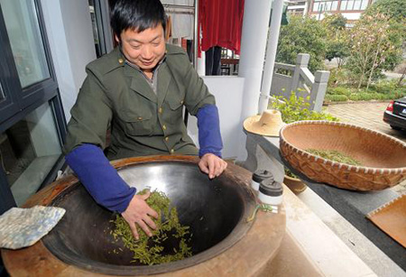 西湖龙井新茶进入采摘期