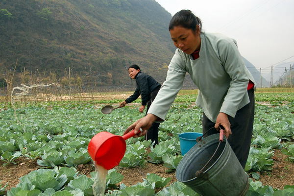 广西乐业旱情严重