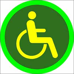 驾照申领和使用多项便民利民措施明年4月起施行
