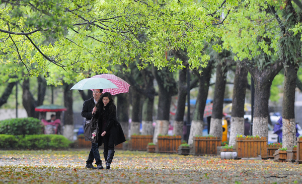 桂林春雨知时节