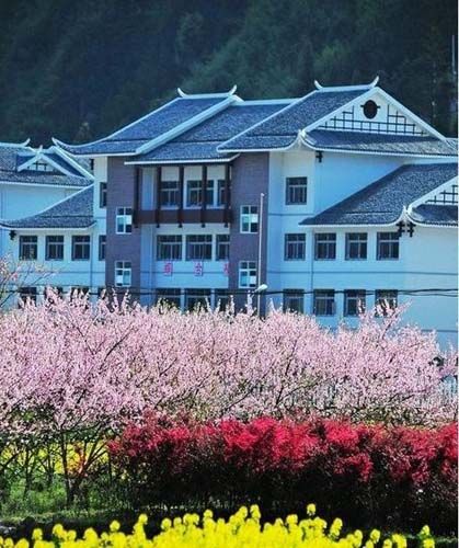 网曝张家界最牛乡村学校
