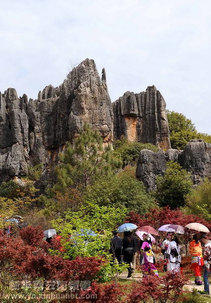 彝乡风情醉游人