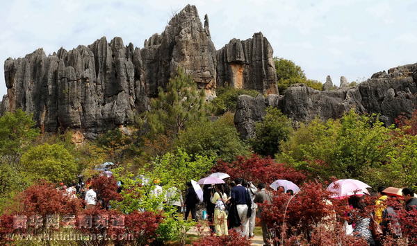 彝乡风情醉游人