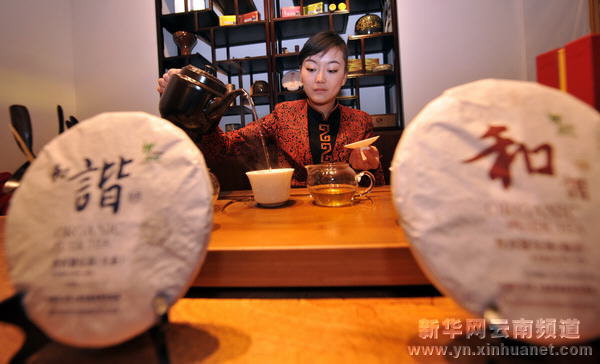 世博园里看茶艺