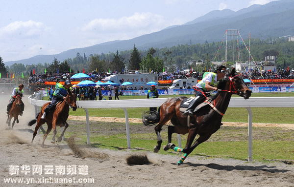 大理三月街赛马会展开精彩竞技