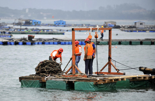 深圳开始拆除违章建筑“海上皇宫”