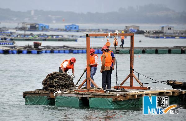 深圳拆除耗资近亿元的违章建筑“海上皇宫”