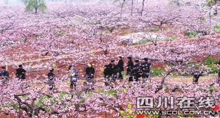 四川风景名胜区或不再设“市县级”