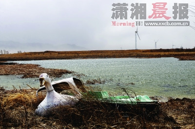 北京超采地下水致大面积沉降 河北输