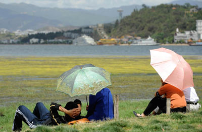 大理建设万亩生态湿地保护洱海水质