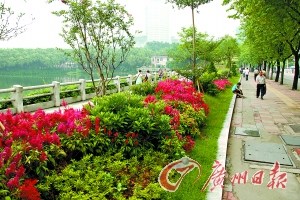 广州拆除公园围墙为城市增加绿色(组图)