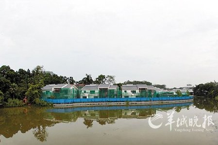 广州华南植物园内建8栋违章别墅 城管称查处太难