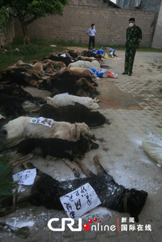 29只警犬服驱虫药后死亡