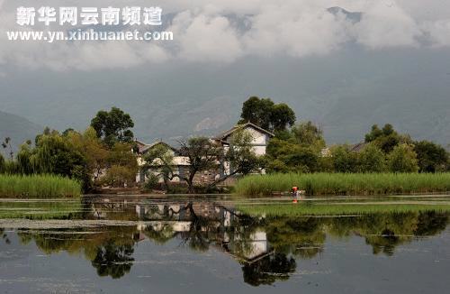 大理湿地保护见成效