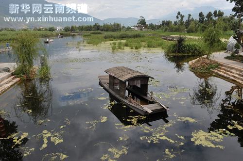 大理湿地保护见成效