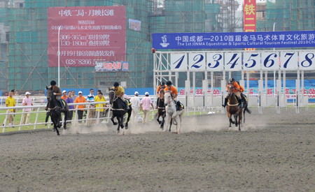 中国成都-2010首届金马马术体育文化旅游节
