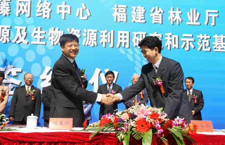 福建首发森林生态价值评估 总价超七千亿