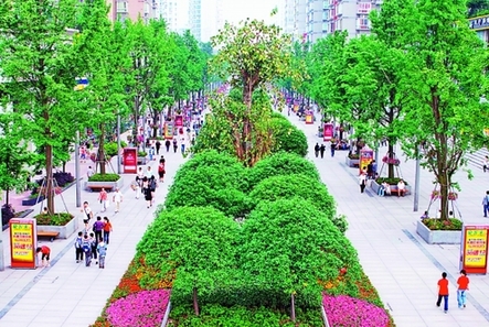 2010年 重庆市容 蝶变