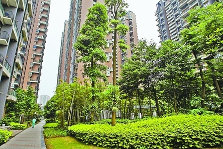 2010年 重庆市容 蝶变